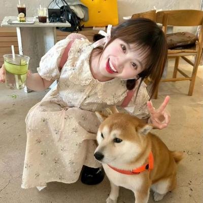 降龙传说
